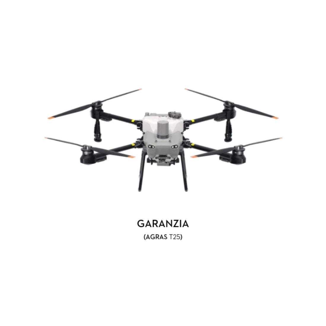 Garanzia DJI AGRAS T25