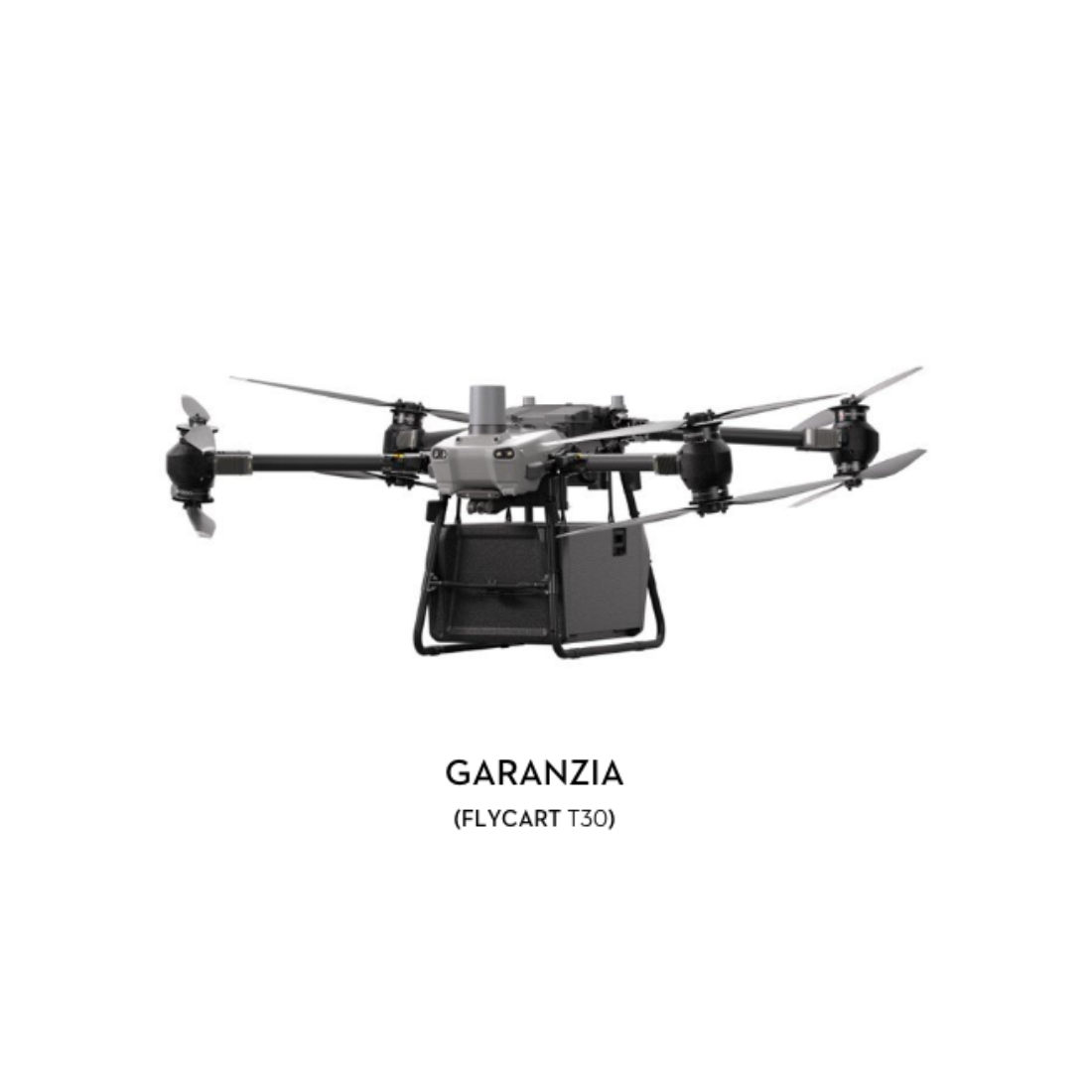 Garanzia 12 mesi DJI FlyCart 30