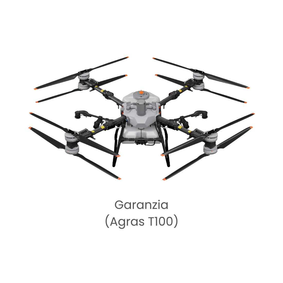Garanzia DJI Agras T100