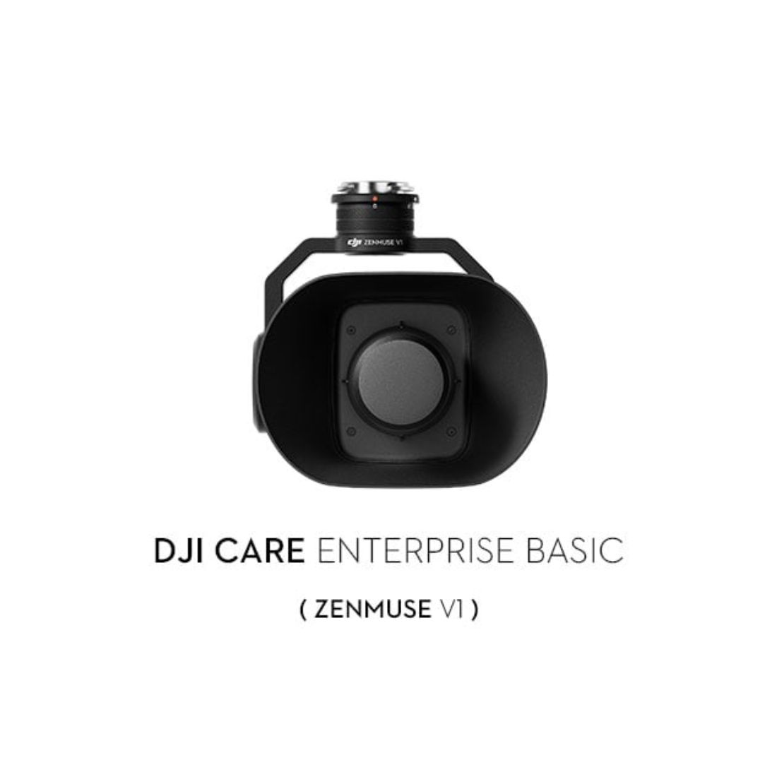 DJI Care Enterprise Basic Y2 (Zenmuse V1)