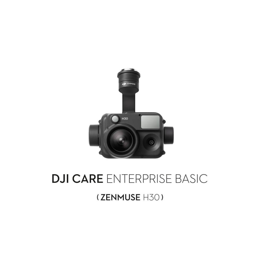 Virt rinnovo DJI Care Ent Basic H30