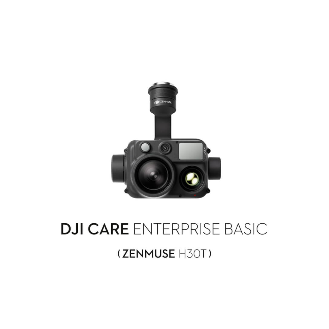 Virt Rinnovo DJI Care Ent Basic H30T