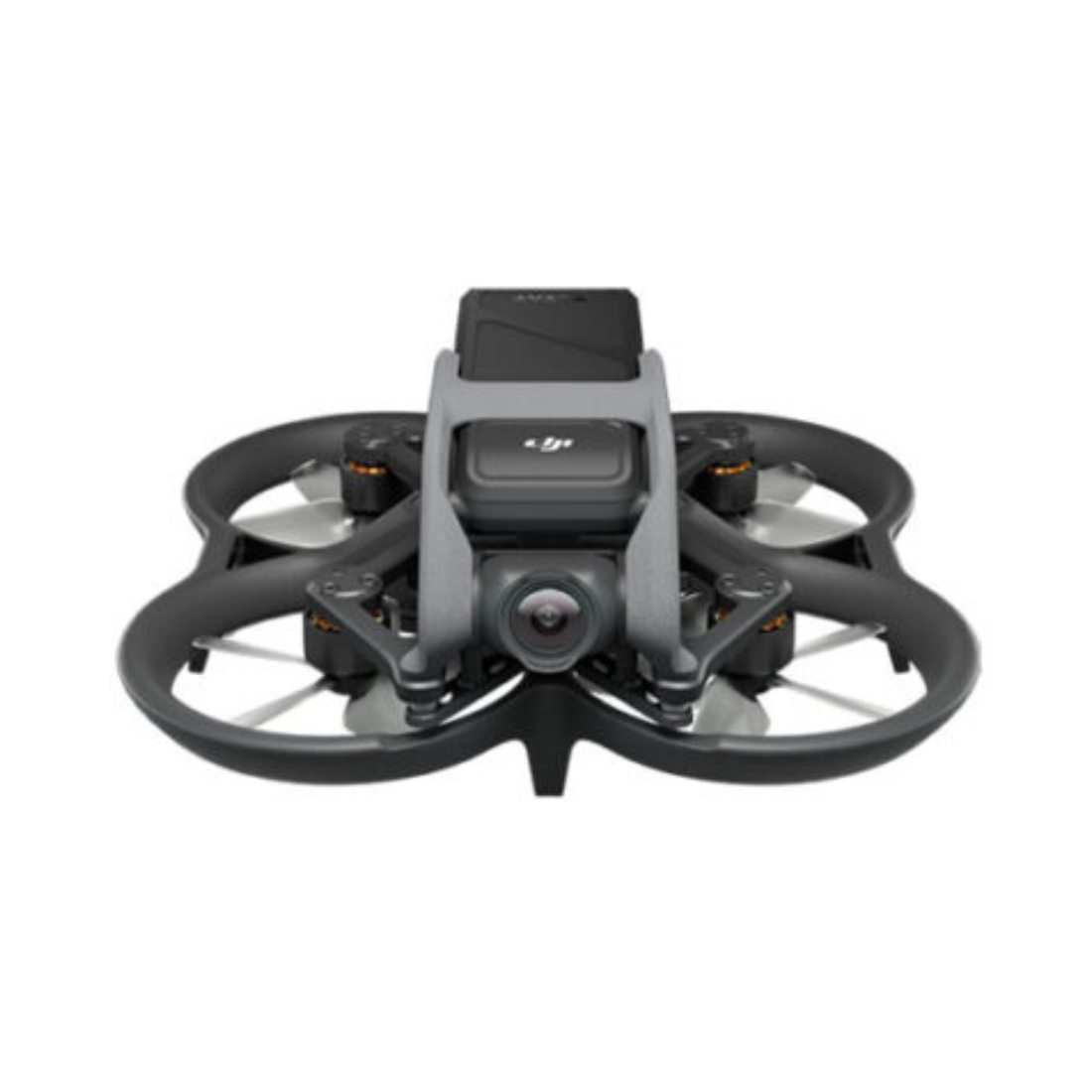 DJI Avata Pro-View Combo (Goggles 2) Usato Grado A